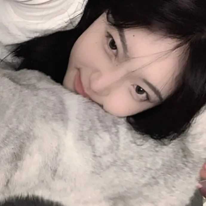 小菊的春天